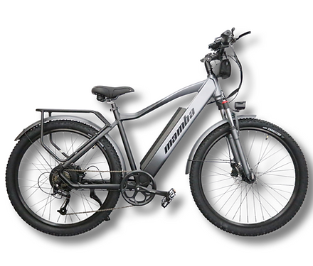 2023 NEW MAMBA VENOM 48V17AH 750W E-MTB with Fender and Rack