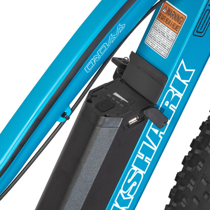 Blue Rock Shark Electric Fat Bike